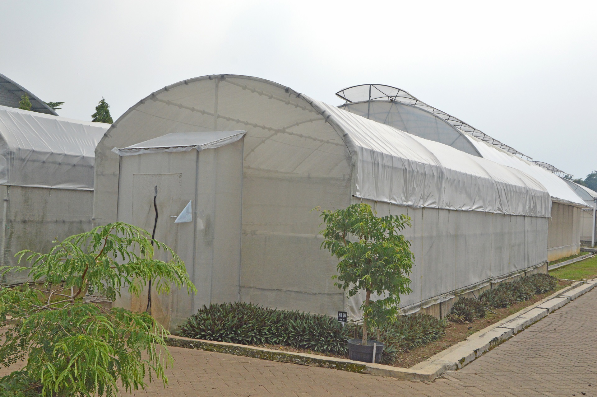 BANGUN GREEN HOUSE DENGAN NET AGROPRO SOLUSI BERTANAM MASA KINI