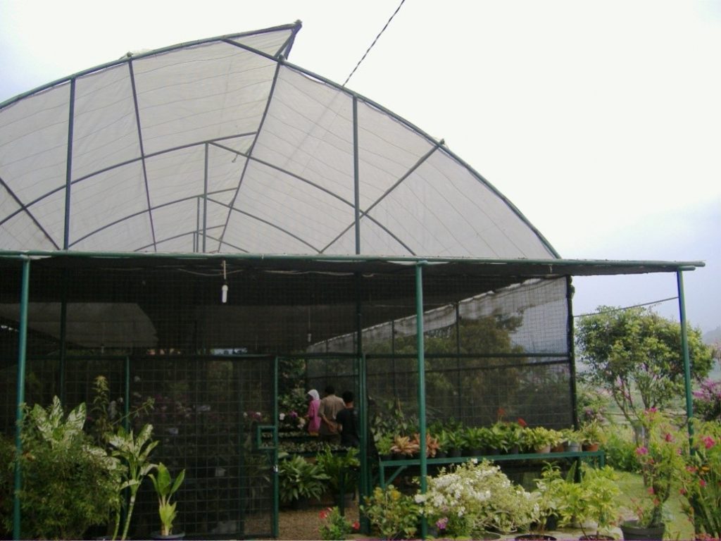 SHADING NET AGROPRO HASILKAN BIBIT SAWIT BERKUALITAS