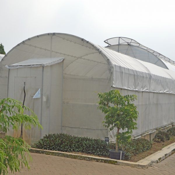 Greenhouse Lengkung Plastik